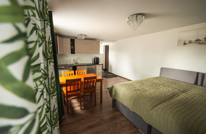 Apartament “Zielony”